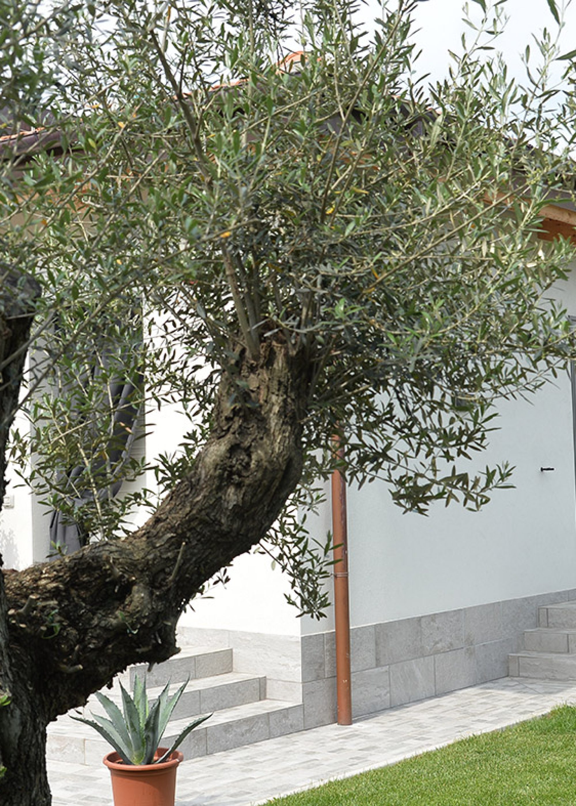 Mirabello - Edificio Residenziale03